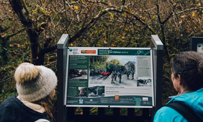 Coed Nant Gwernol heritage information, Dyfi Forest